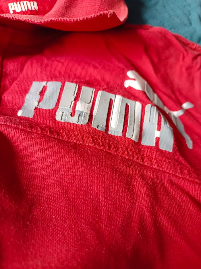 Polo garçon - photo numéro 2