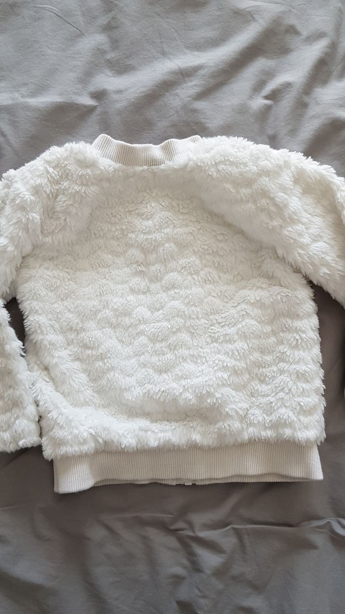 Veste - photo numéro 5