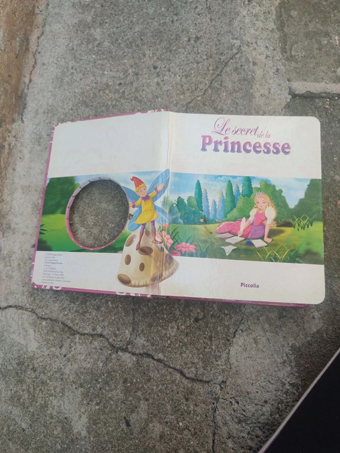 Livre le secret de la princesse - photo numéro 7