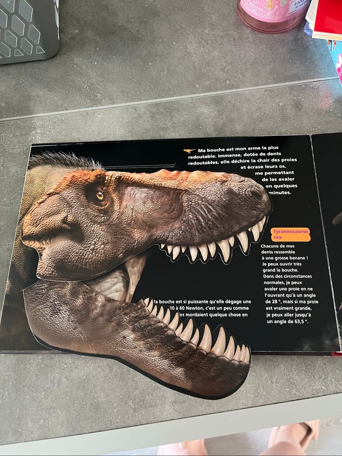 Livre dinosaure - photo numéro 6