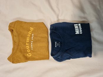 Lot de 2 tee-shirts