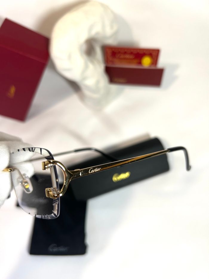 Lunette 4 saisons Cartier ❄️🍂🍃☀️ - photo numéro 8