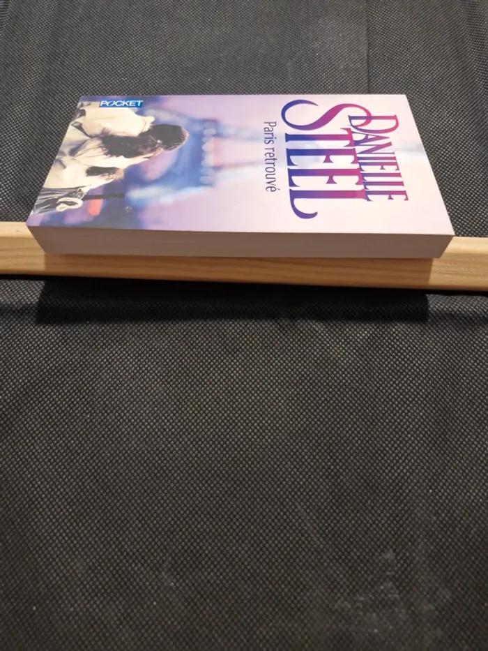 Paris retrouvé - Danielle Steel - photo numéro 3