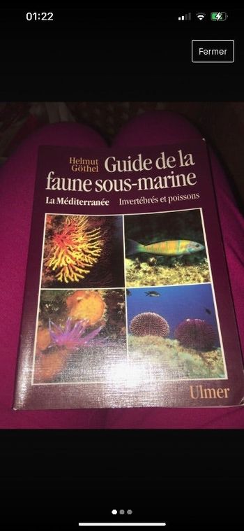 Livre guide de la faune sous-marine