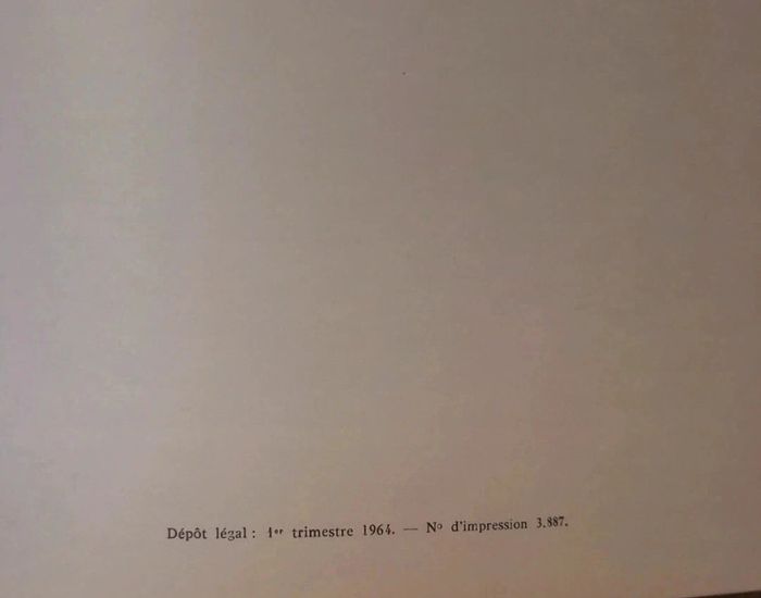 Toreros dans l'arène - photo numéro 7