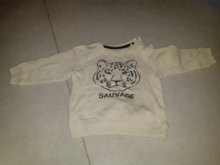 Pull sauvage t. 18 mois