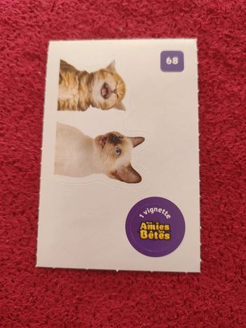 Carte nos amies les bêtes