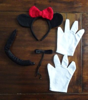 Accessoires pour déguisement de Minnie