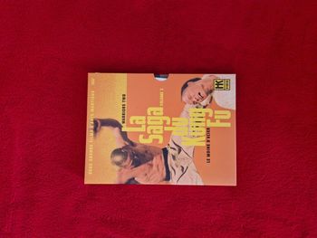 La saga du kung fu