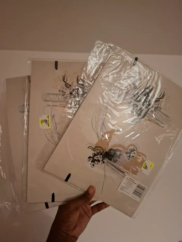 Pochettes cartonnées - photo numéro 2