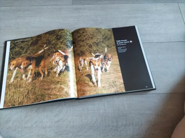 Livres sur les chiens - photo numéro 4