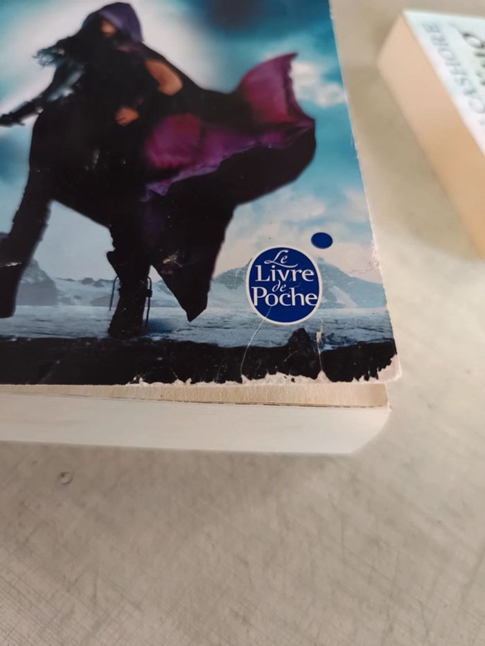 Lot 2 livres graceling et bitterblue - photo numéro 5