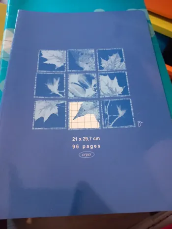Cahier 24x32 petits carreaux 96 pages