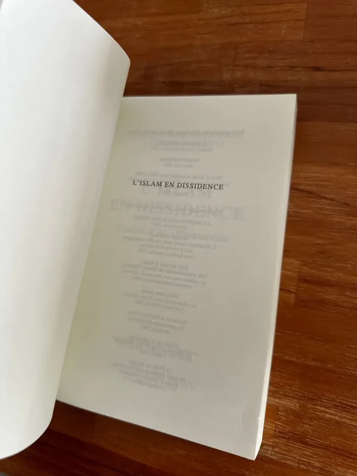 Livre l’islam en dissidence - photo numéro 5