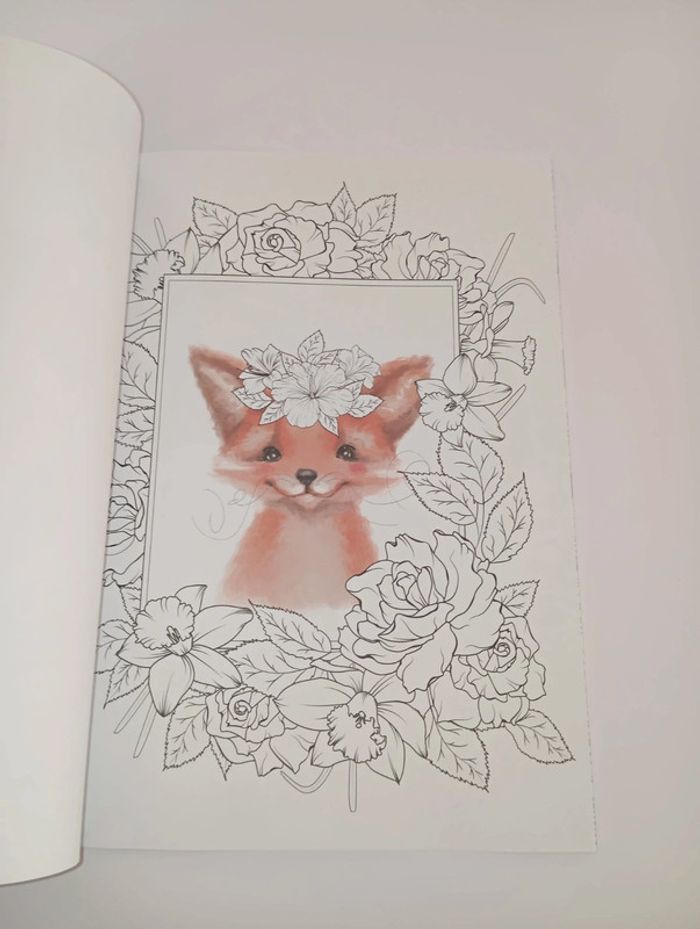 Coloriage - photo numéro 2