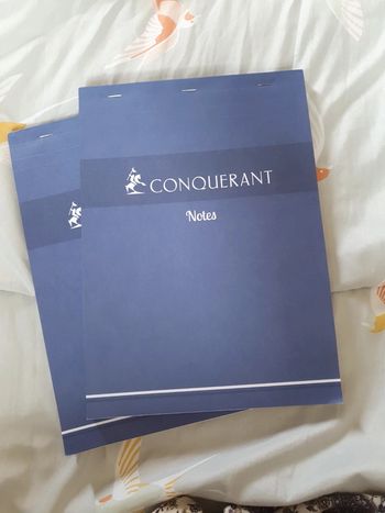 Lot de 2 bloc notes A4 conquérant