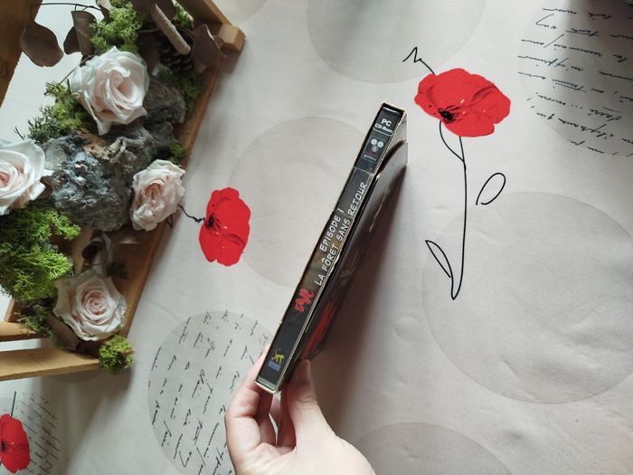 Jeu pc Neuf Bove épisode 1 la forêt sans retour - photo numéro 4