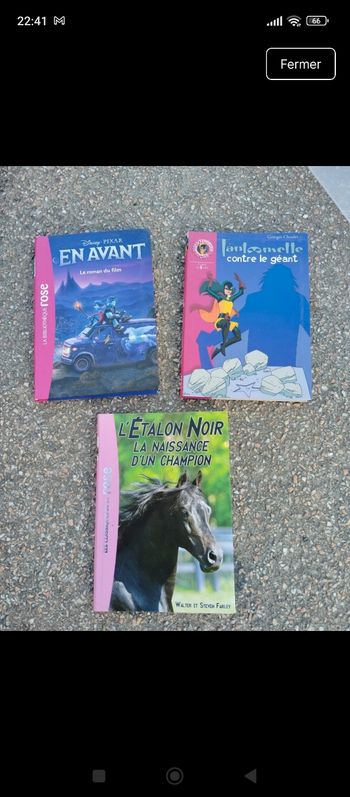 Livres Bibliothèque Rose