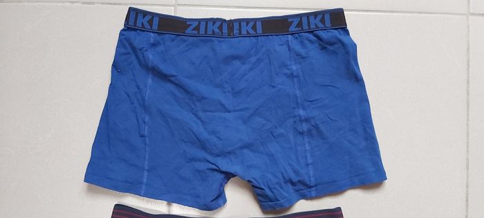 Boxer M - photo numéro 6