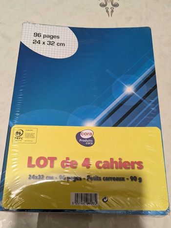 Lot de 4 cahiers 96 pages petits carreaux. Taille 25x32 cm