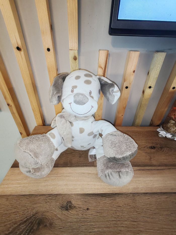 Chien nattou max et Noa beige et blanc - photo numéro 3