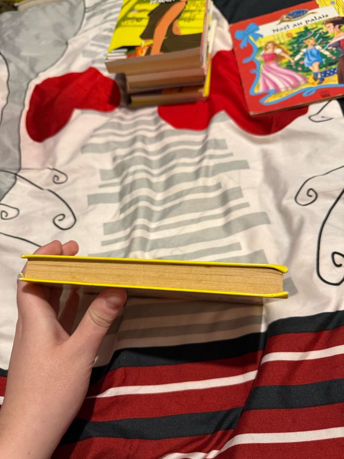 Les vacances d’Isabelle- Véronique Day - photo numéro 5