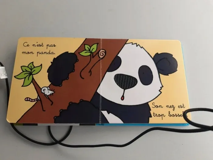 Livre ou est mon panda - photo numéro 4