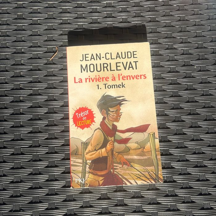 Livres enfants et roman - photo numéro 4