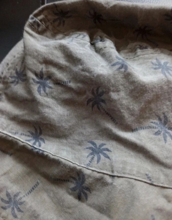 Bob palmier - photo numéro 2