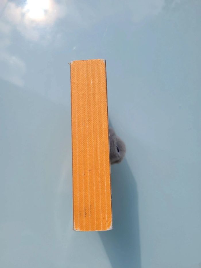 Livre Marionnette, éditions Casterman 🧀 Molly petite souris 🐀 75 - photo numéro 3