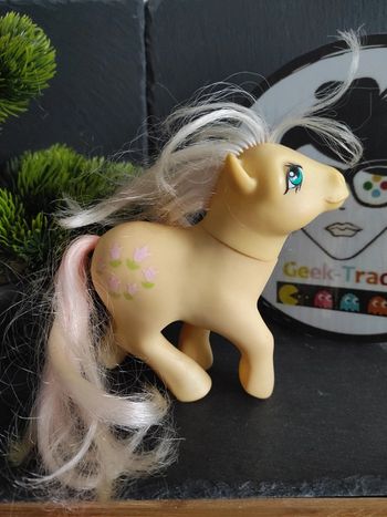 G1 My Little Pony mein kleines posey nirvana no country NC #geektradeponeyg1