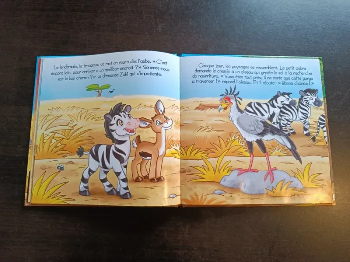 Livre LE FABULEUX VOYAGE DE ZAKI LE ZÈBRE - photo numéro 6