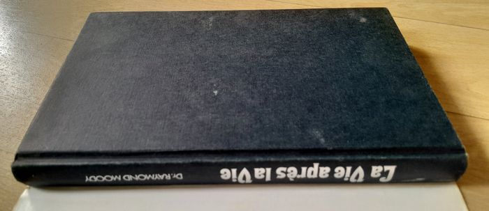 Dr Raymond Moddy - La vie après la vie - photo numéro 6