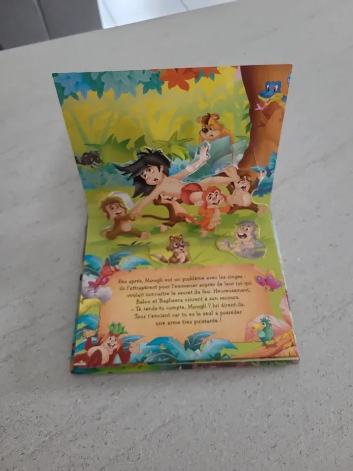 Livre le livre de la jungle - photo numéro 2