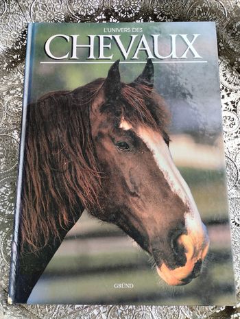 L'univers des chevaux 💚