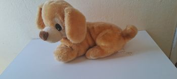 Chien en peluche