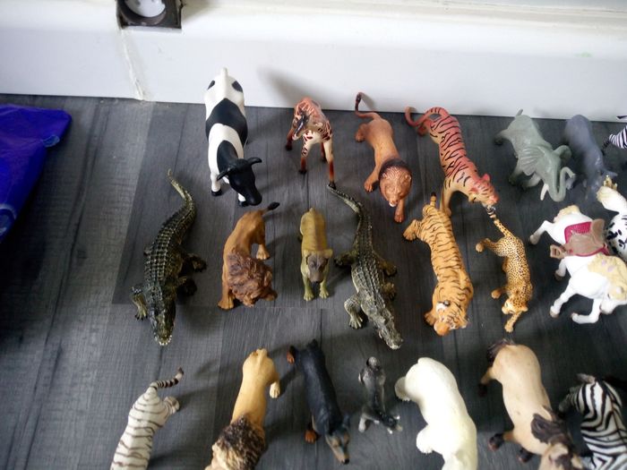 Lot animaux - photo numéro 4