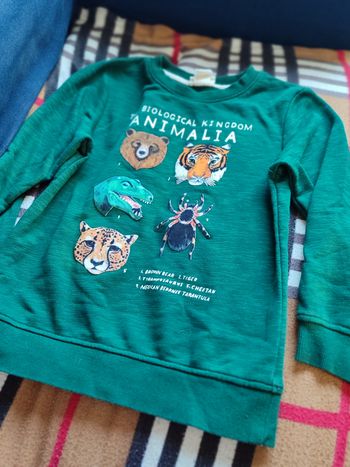 Sweat animaux hetm 4 6 ans 