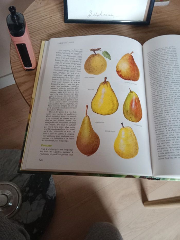 Livre vintage - photo numéro 4