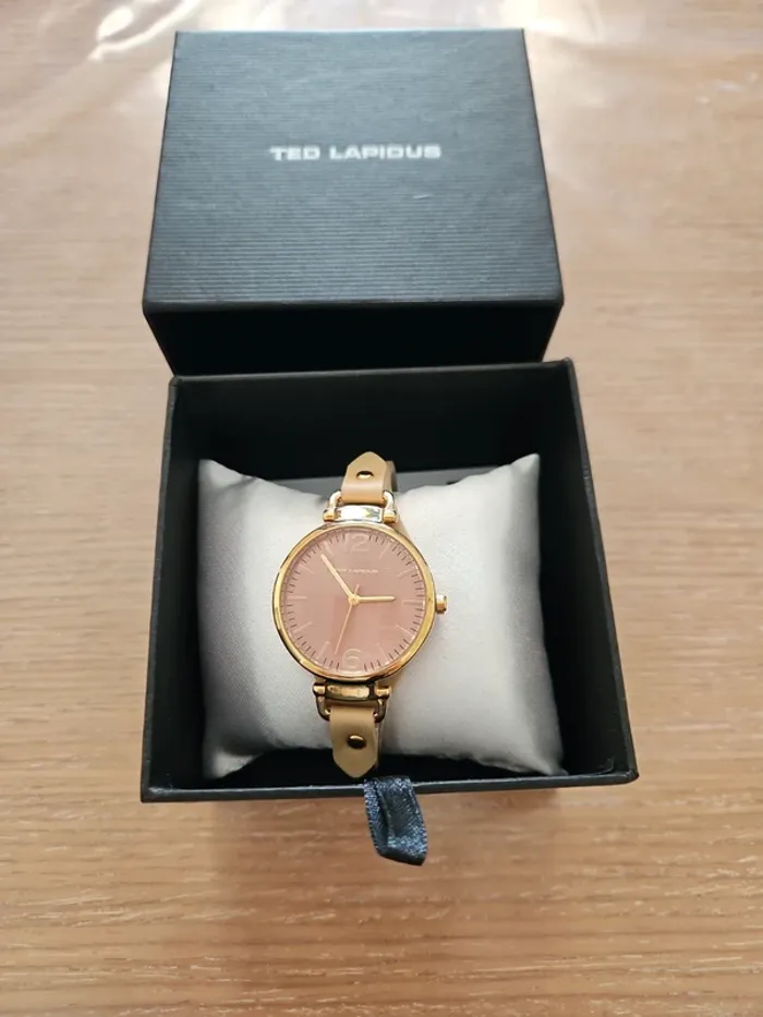Montre ted lapidus
