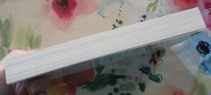 Le Foulard de l'aviateur de Charles Briand Ed. de Borée - photo numéro 5