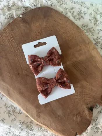 Barrettes lion perché