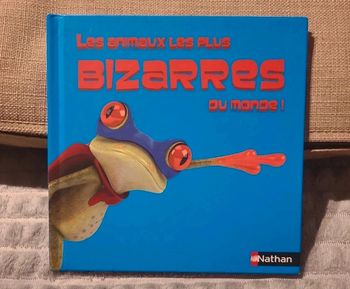 Les animaux les plus bizarres du monde!
