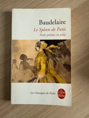 Baudelaire le spleen de Paris
