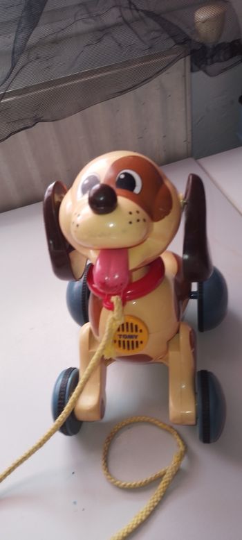 Chien