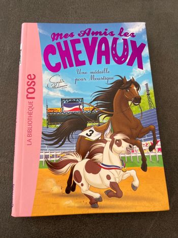 Livre bibliothèque rose mes amis les chevaux tome 37