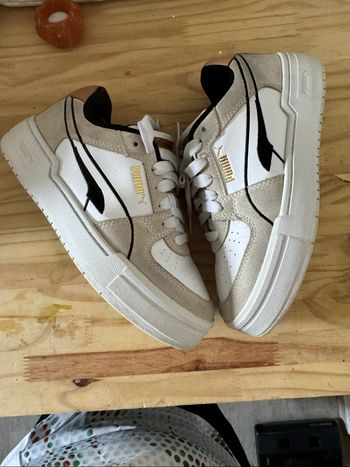 Basket puma