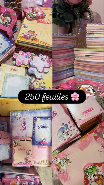 250 feuilles diddl
