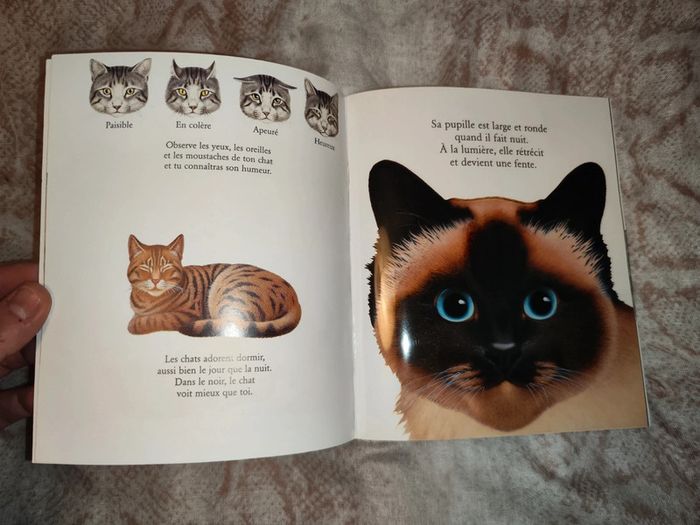 Livre les chats et les felins - photo numéro 3