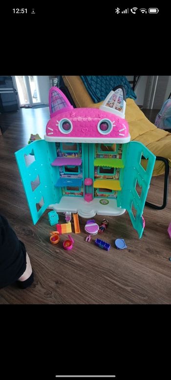 Maison Gabby chat 